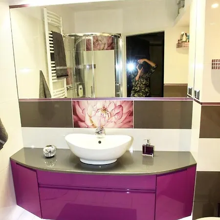 Hotell Felicity Studio *